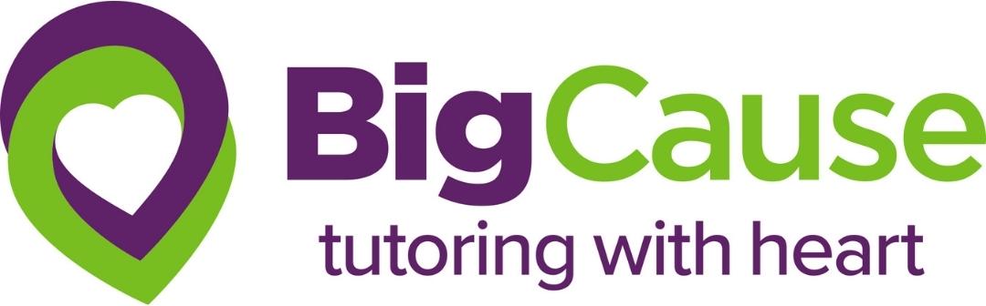 BigCause logo